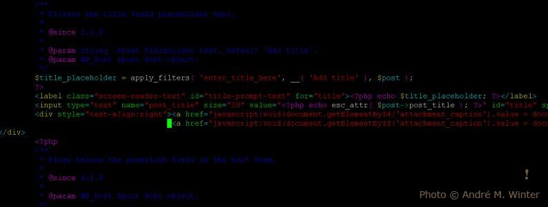 Debunking Weight Loss Myths: How Misinformation Can Sabotage Your Goals