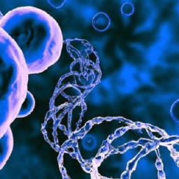 The Metabolism Mystery‌ Unraveled: Understanding the Role of Genetics and Lifestyle